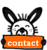Contact Susie